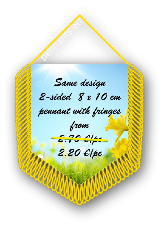 Special offer pennant with yellow fringes